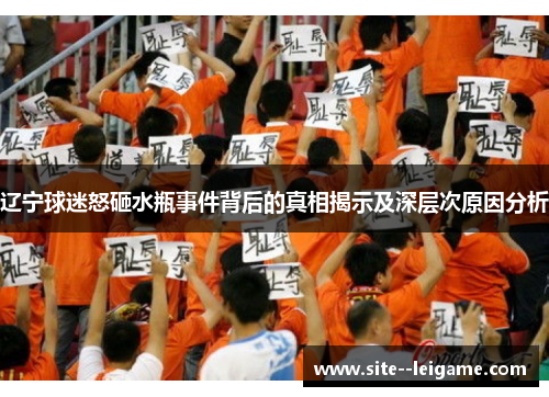 辽宁球迷怒砸水瓶事件背后的真相揭示及深层次原因分析 辽宁球迷怒砸水瓶事件背后的真相揭示及深层次原因分析