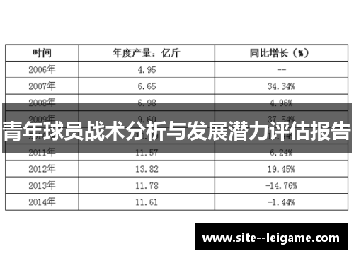 青年球员战术分析与发展潜力评估报告